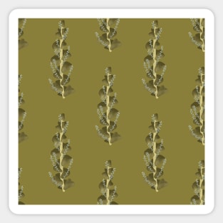 Knifeleaf Wattle Leaves Dark Green Sticker